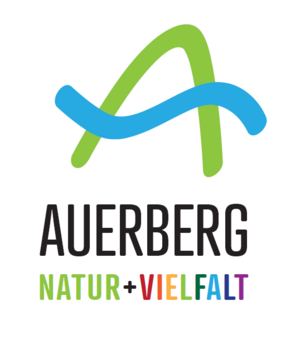 Entwurf 1